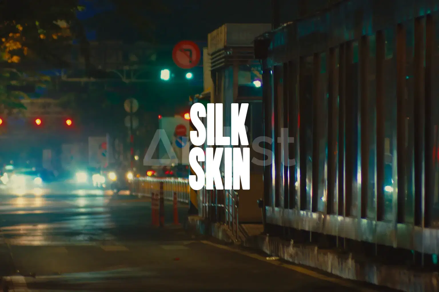 CI018 Silk Skin_cover.png