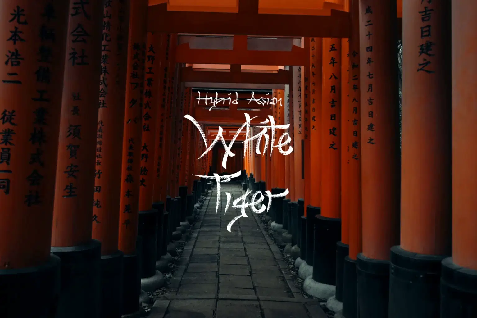 AY088 White Tiger_cover.png