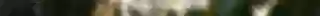 HN083 Rainbow Bridge_cover.png
