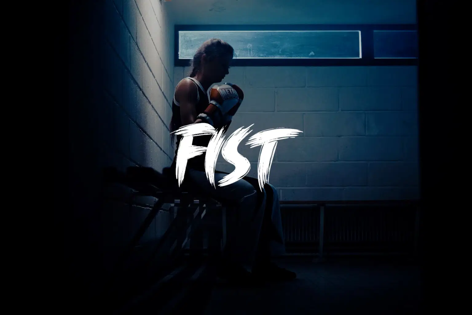 SH011 FIST_cover.png