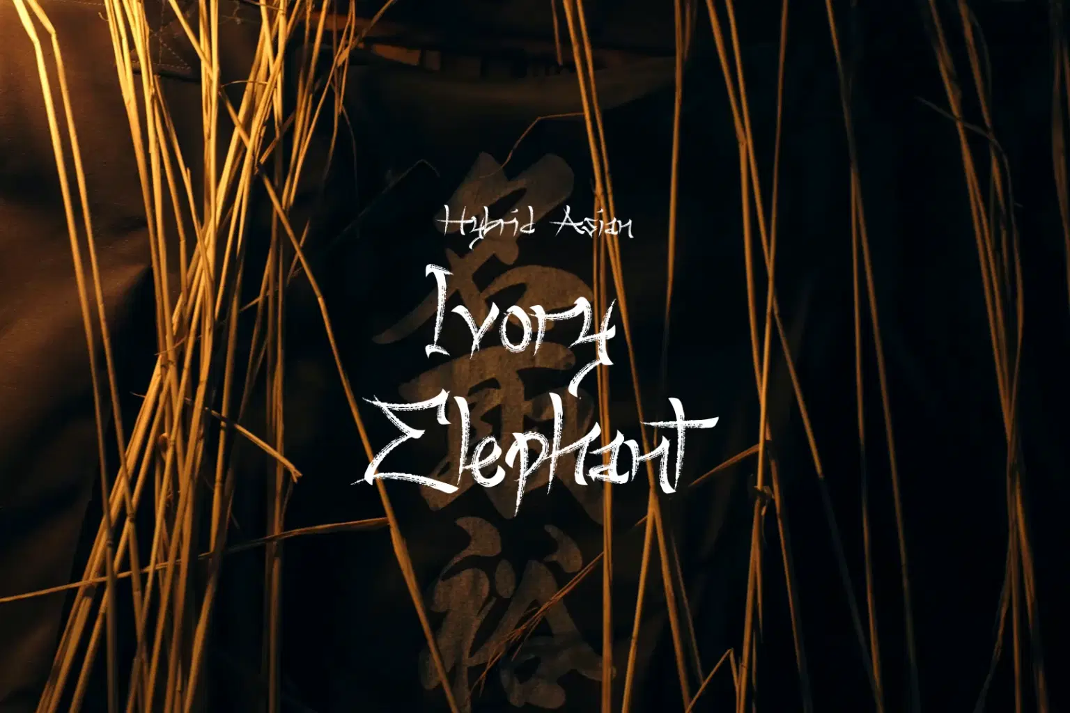 AY089 Ivory Elephant_cover.png