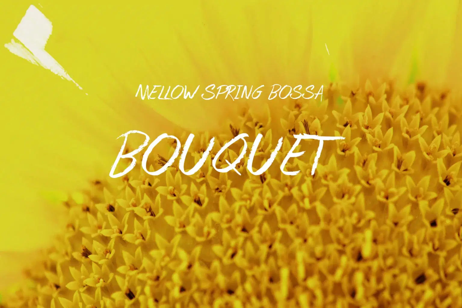 PK052 Bouquet_cover.png