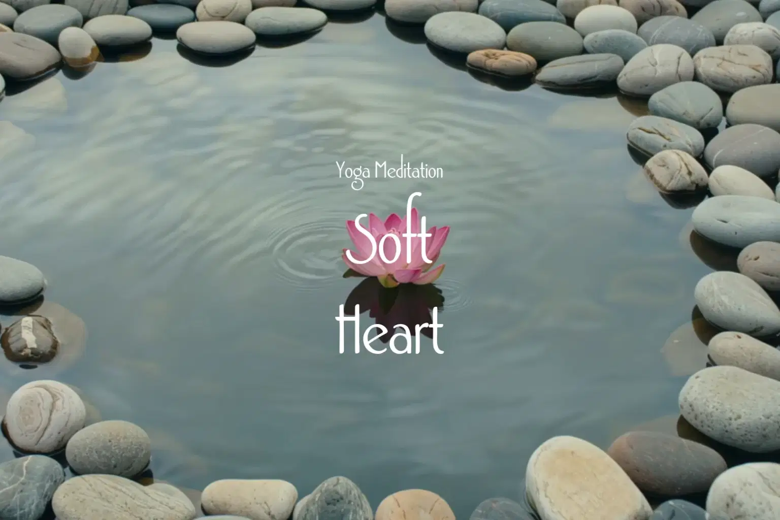 DB038 Soft Heart_cover.png