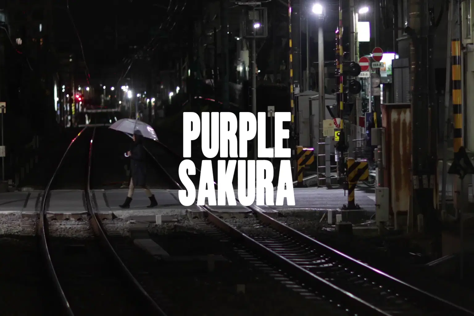 CI001 Purple Sakura_cover.png