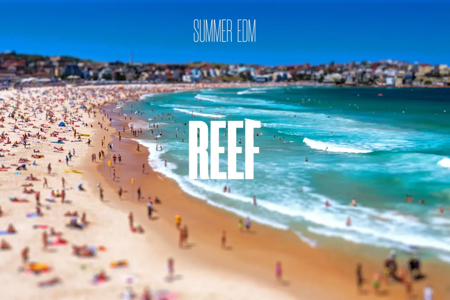 SM037 Summer EDM Reef_cover.png