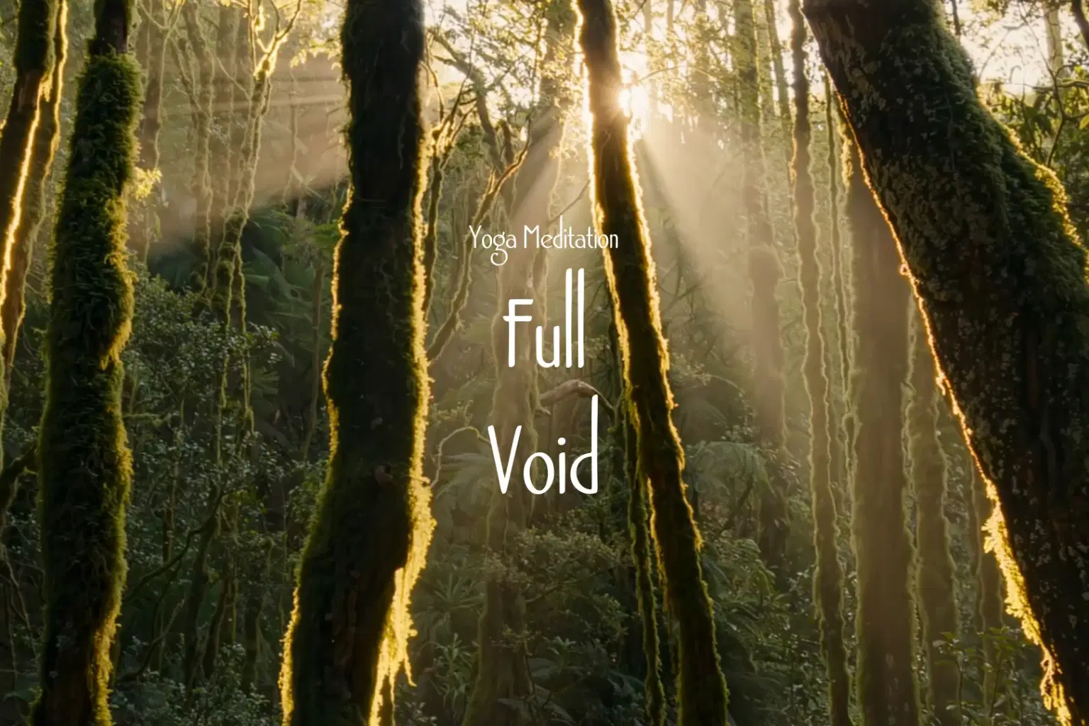 DB040 Full Void_cover.png
