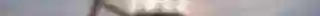 TJ052 Free Fly_cover.png