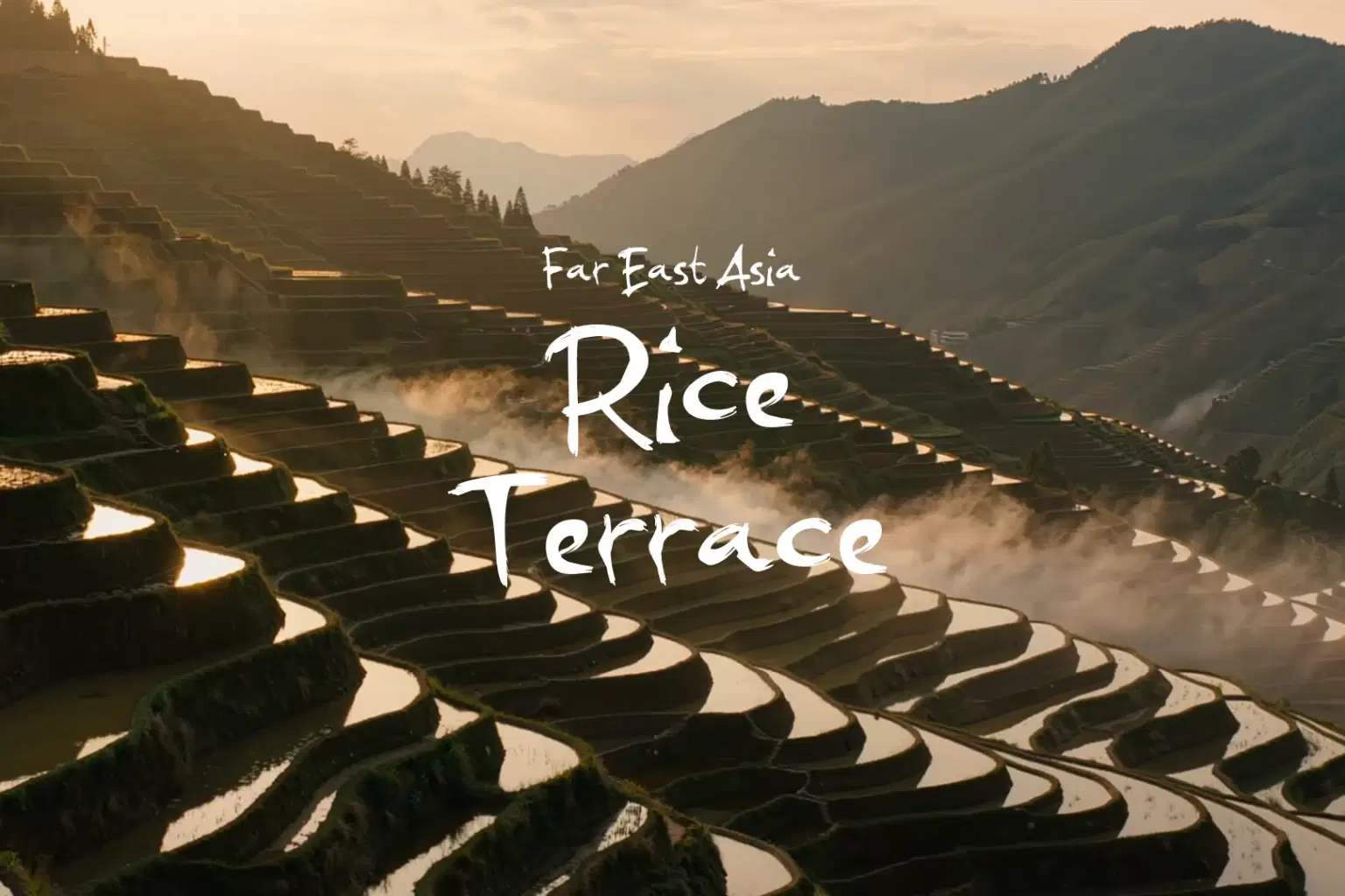 HN101 Rice Terrace_cover.png