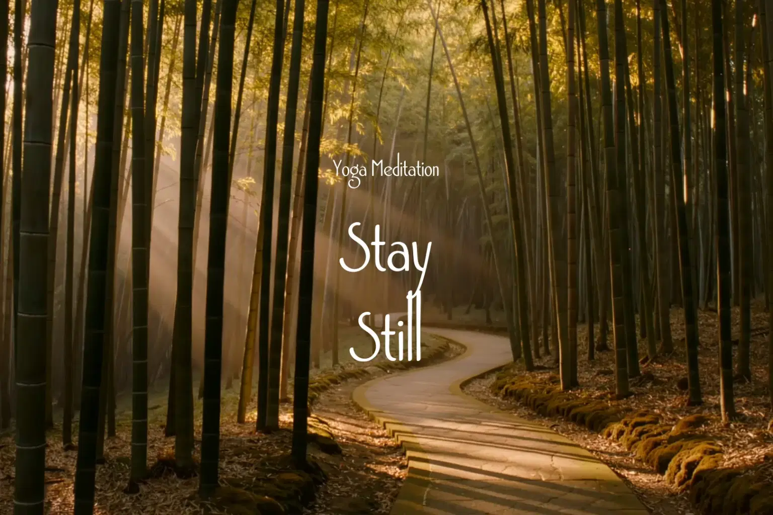 DB036 Stay Still_cover.png