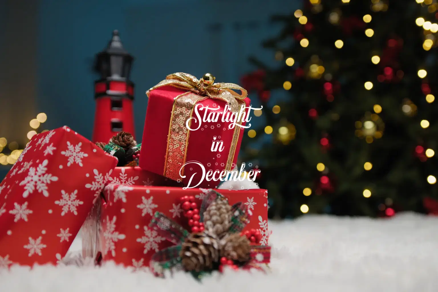 JZ055 Starlight in December_cover.png