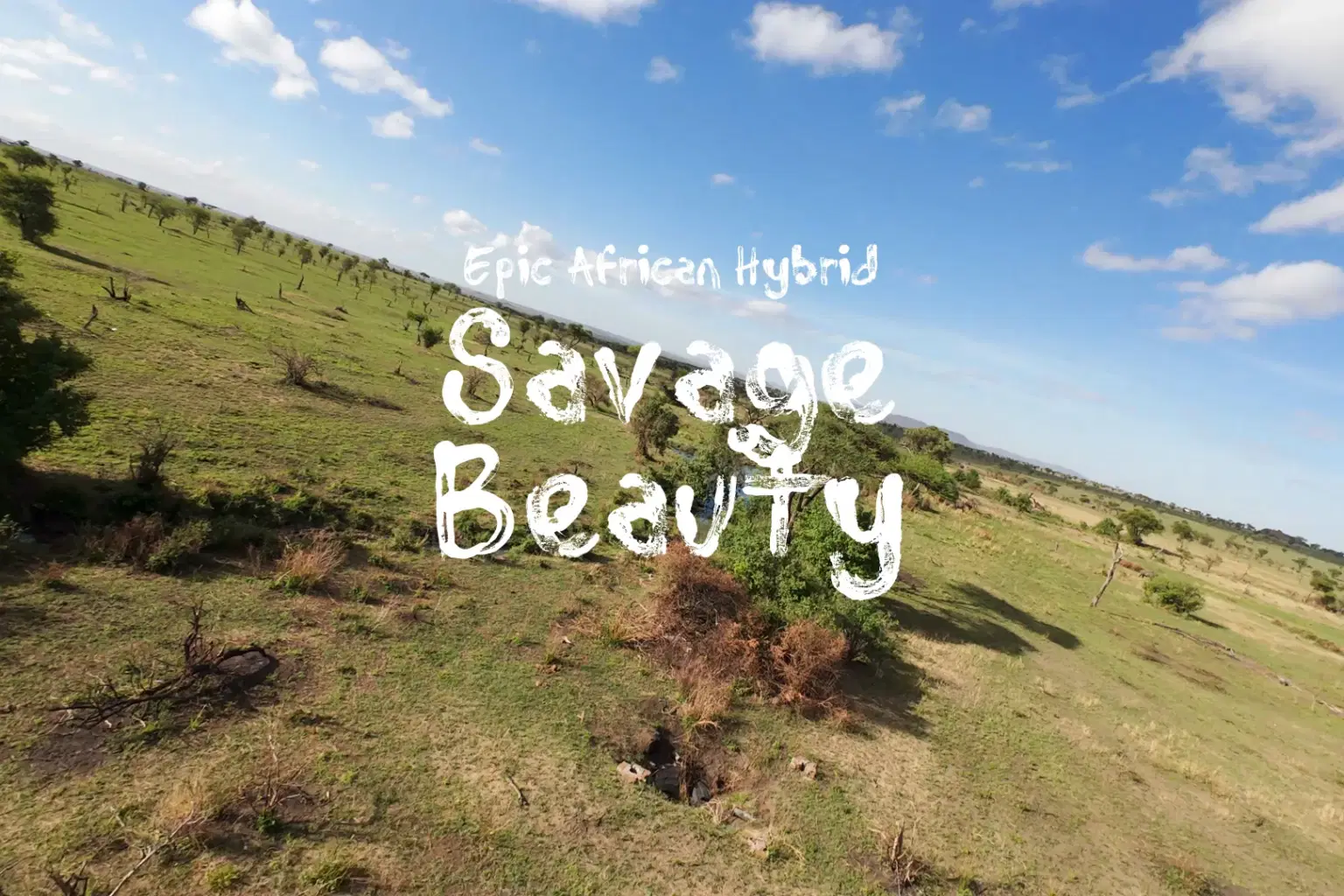 AF003 Savage Beauty_cover.png