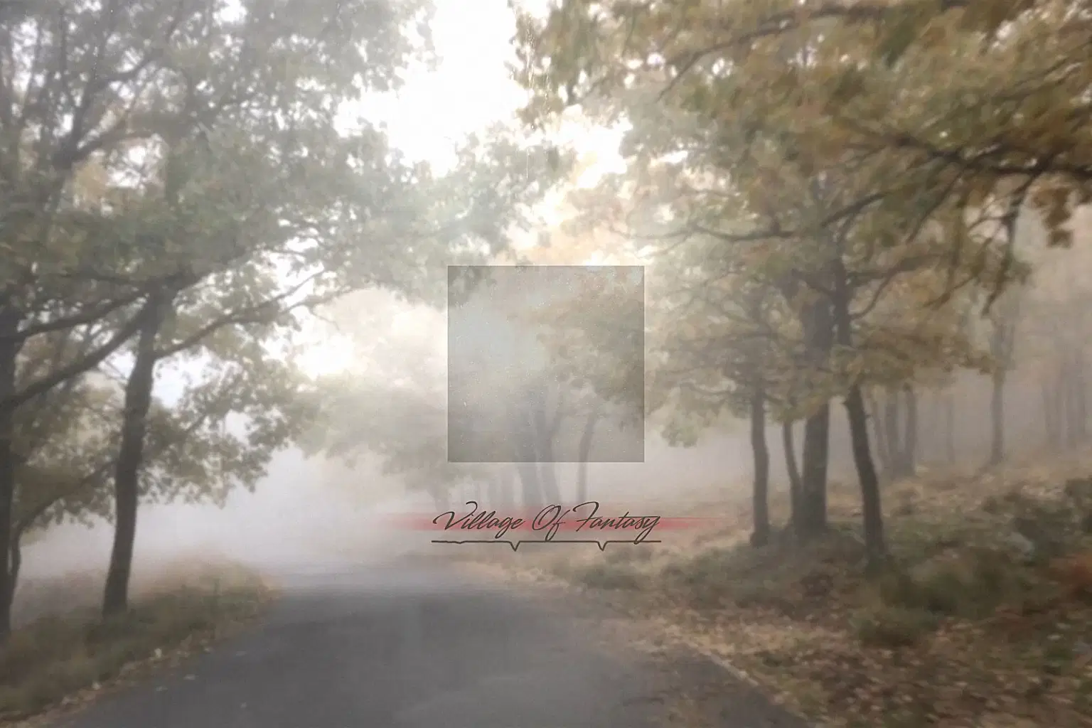 DP031 VILLAGE OF FANTASY_cover.png