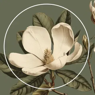 AI Crafted Magnolia logo