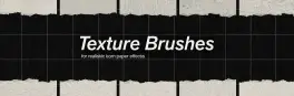 Photoshop Torn Paper Brushes & Textures 09.jpg